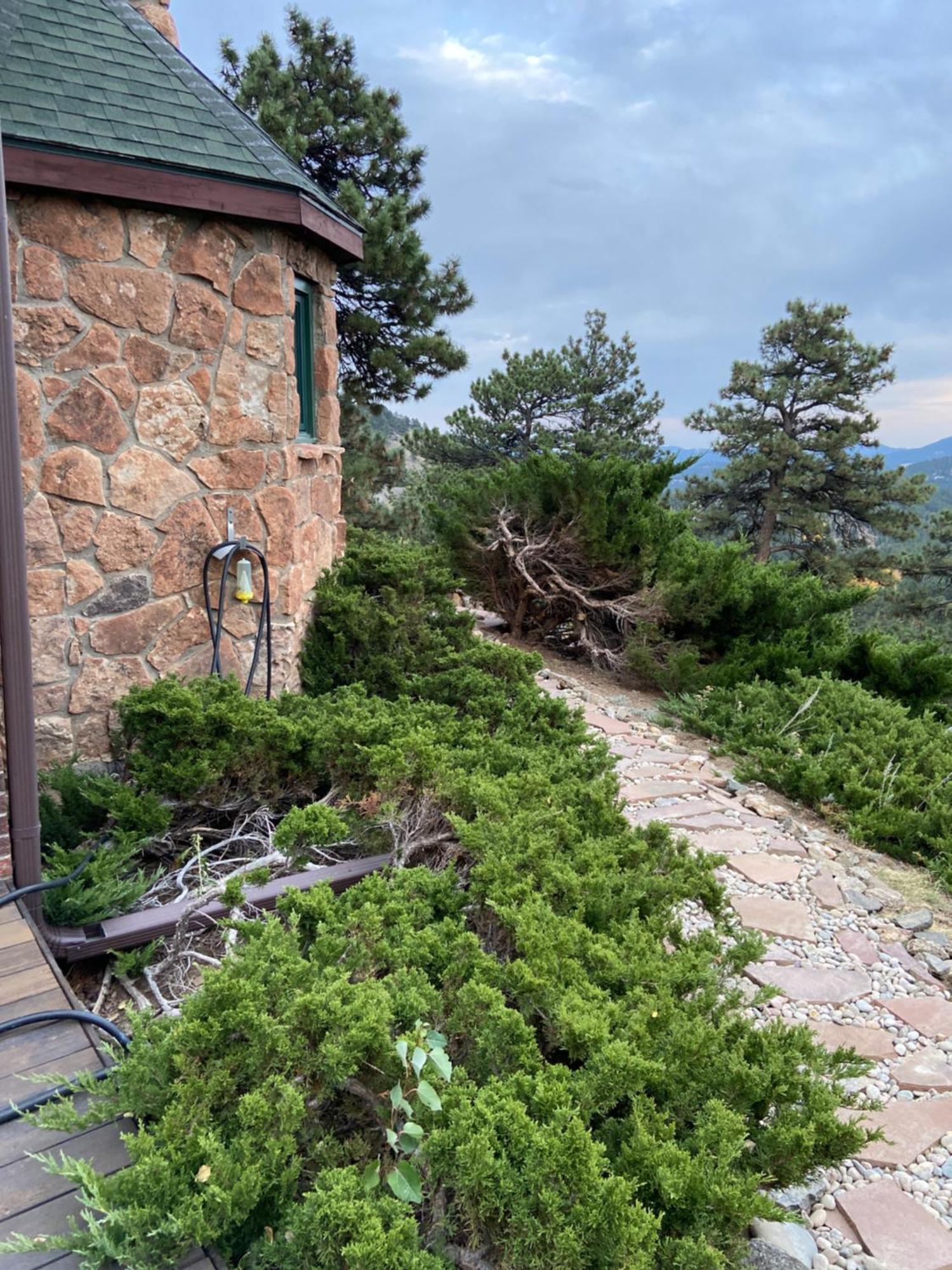 Colorado Bed & Breakfast With Beautiful Views Evergreen Dış mekan fotoğraf