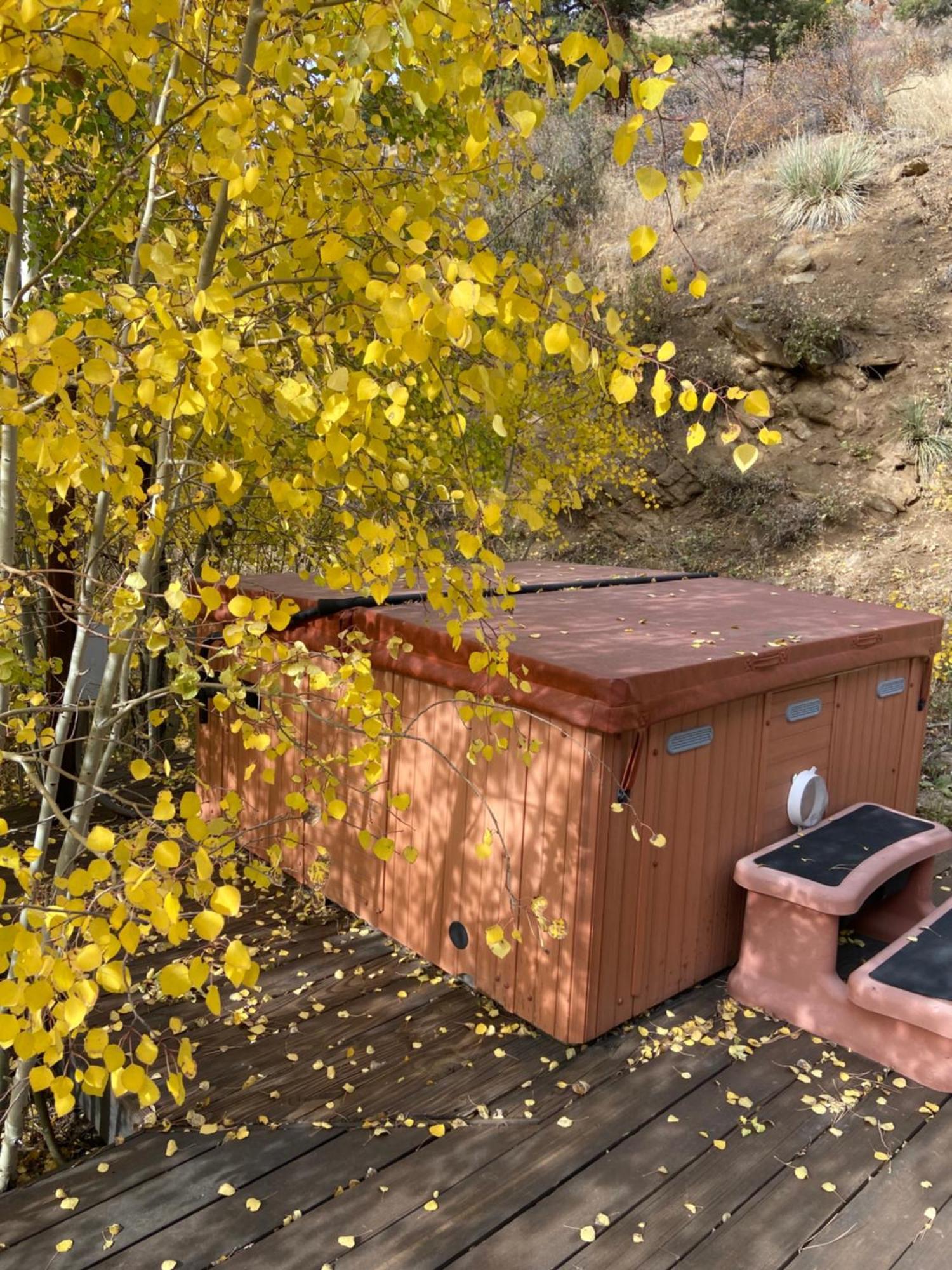 Colorado Bed & Breakfast With Beautiful Views Evergreen Dış mekan fotoğraf